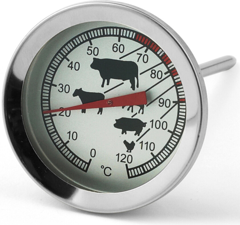 Roasting thermometer