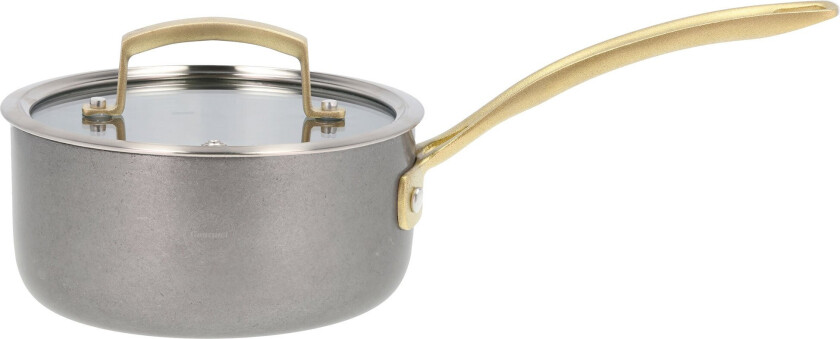 Gourmet Durance Saucepan with Lid Dia 16 cm 1.5 liters5 Steel