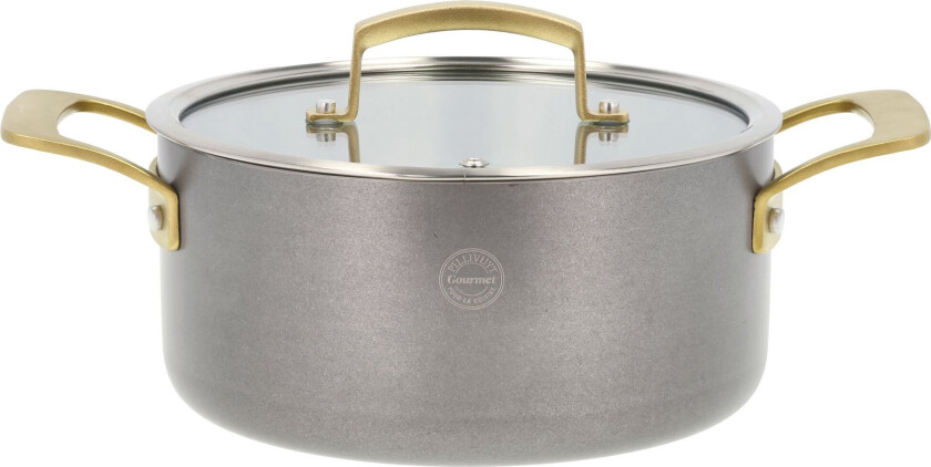 Gourmet Durance Saucepan with Lid Dia 20 cm 2.9 litres Steel