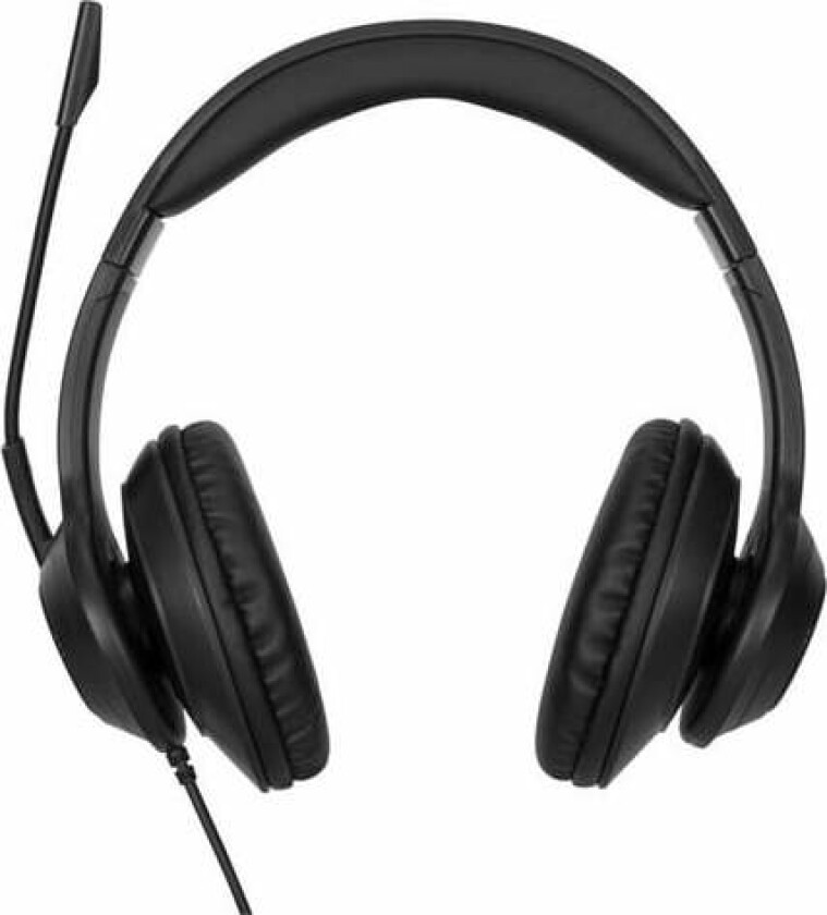 AEH102GL - headset