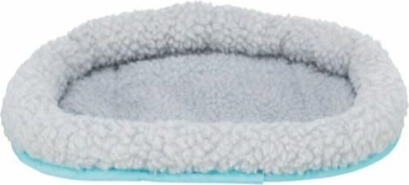 Cuddly bed guinea pigs 30 × 22 cm - Assorted