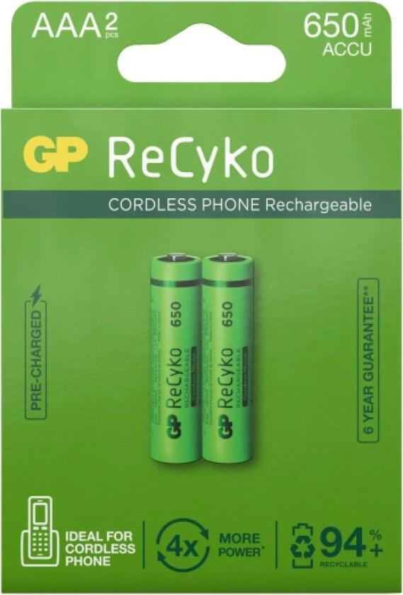 ReCyko AAA 2-Pack