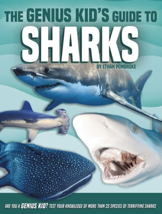 Genius Kid&#039;s Guide to Sharks av Ethan Pembroke