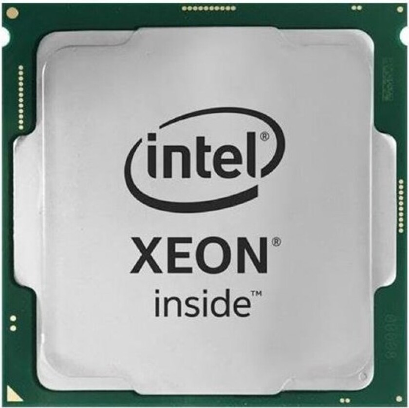 Xeon E-2226G / 3.4 GHz processor Prosessor/CPU - 6 kjerner - 3.4 GHz -  LGA1151 - Bulk (uten vifte)