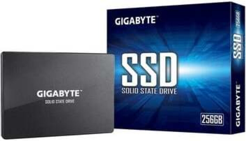 SSD - 256GB - SATA-600 - 2.5"