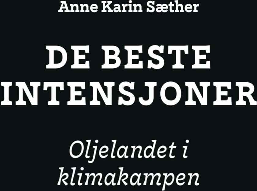 De beste intensjoner av Anne Karin Sæther