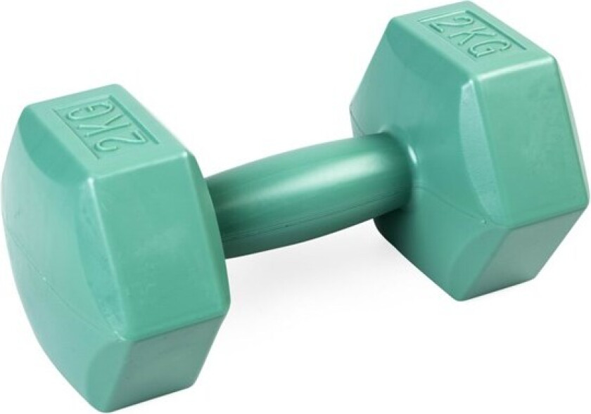 Bilde av Dumbbell 2 kg.