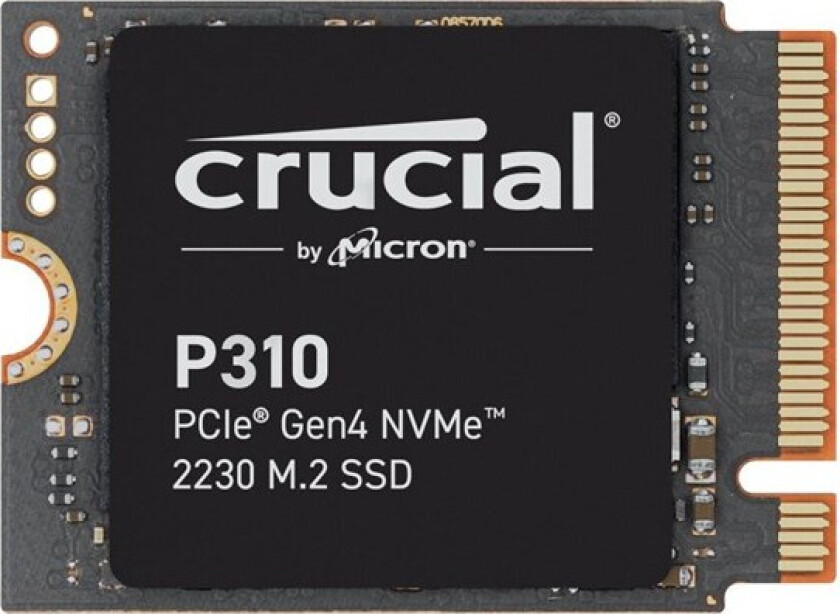 P310 - SSD - Extreme Performance - 1 TB - PCIe 4.0 x4 (NVMe)