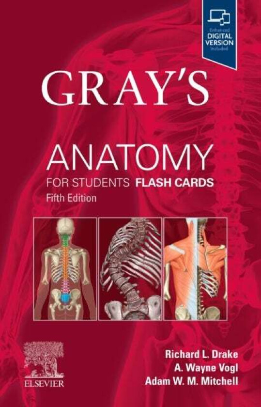 Gray's Anatomy for Students Flash Cards av Richard L. (Director of Anatomy Professor of Surgery Cleveland Clinic Lerner College of Medicine Case