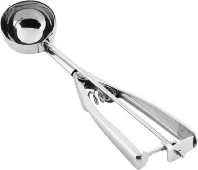 Iskremskje Privilege rustfritt stål (22 cm)