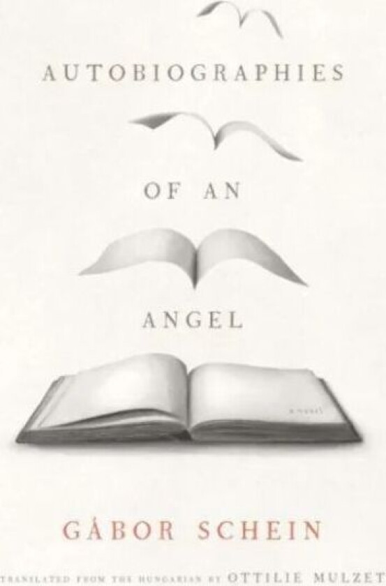 Autobiographies of an Angel av Gabor Schein