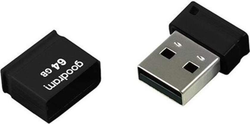 UPI2 - USB flash drive - 64 GB - 64GB - Minnepenn