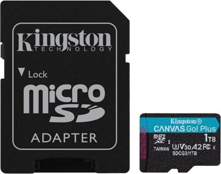 Canvas Go! Plus
