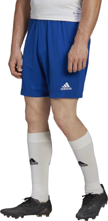 adidas ENT22 Shorts, shorts herre Team Royal Blue