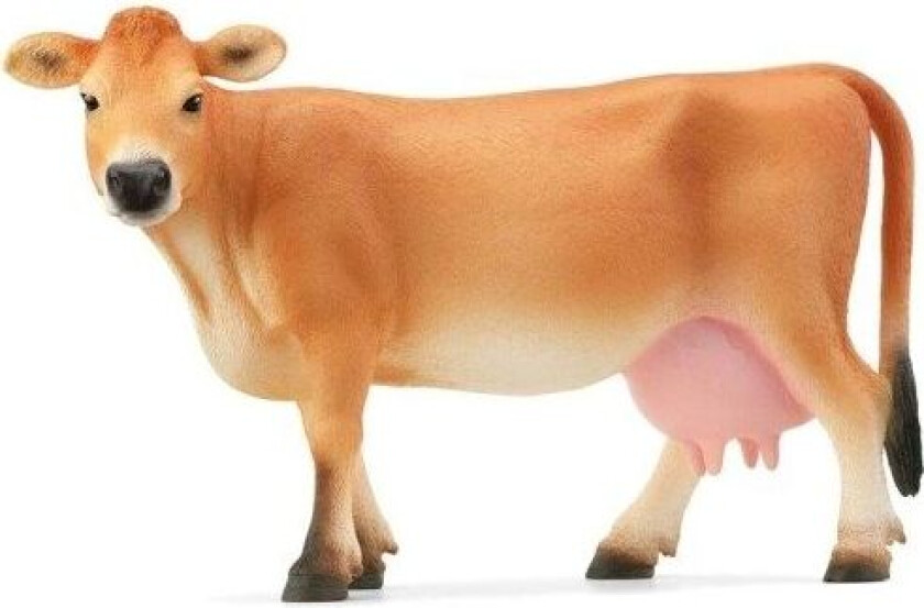 Jersey Cow