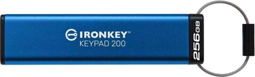 IronKey - 256GB - Minnepenn