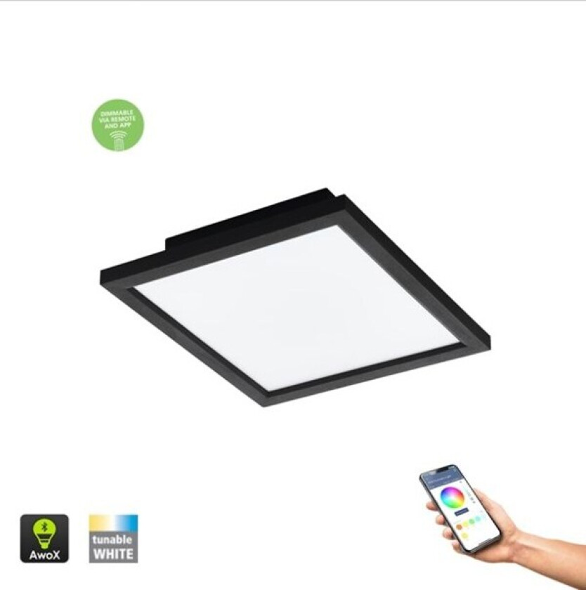 Connect-Z taklampe SALOBRENA-Z SMARTLIGHT SVART
