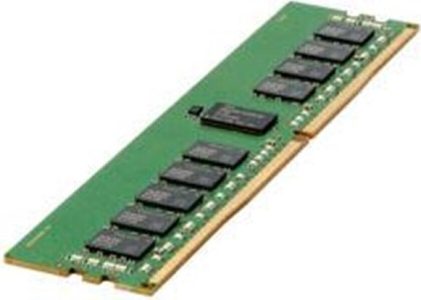 E SmartMemory - DDR4 - modul - 16 GB - DIMM 288-pin - 2666 MHz / PC4-21300 - CL19 - 1.2 V - registrert - ECC