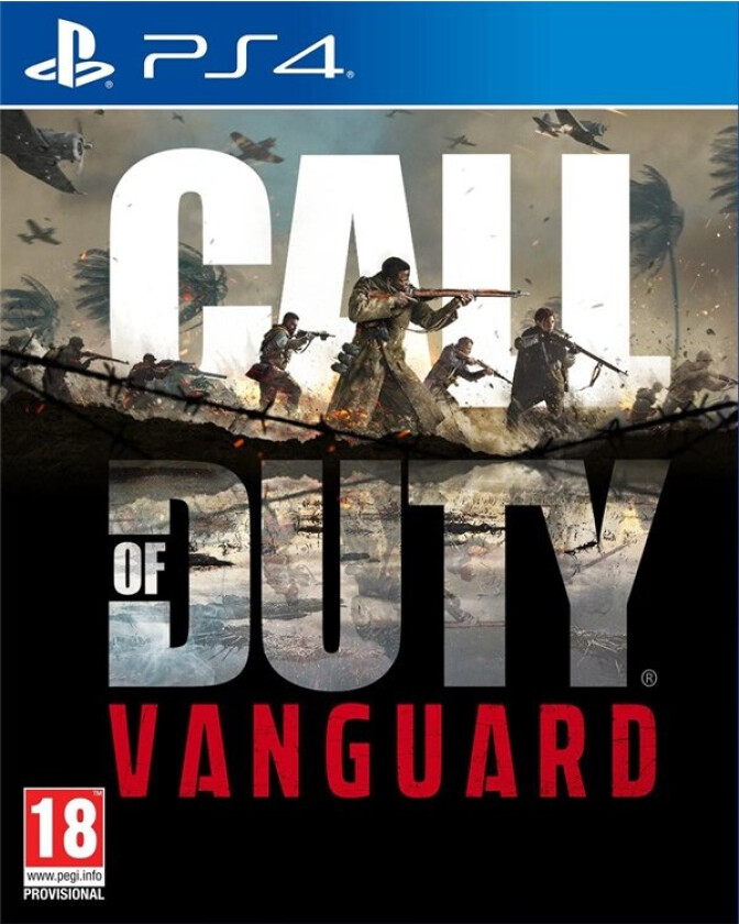 Call of Duty: - Playstation 4 (brukt)