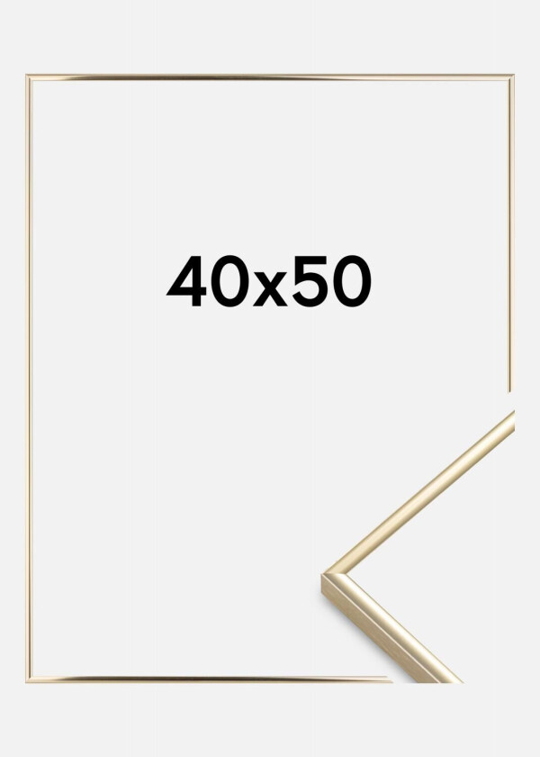 Ramme Visby Akrylglass Blank Gull 40x50 Cm