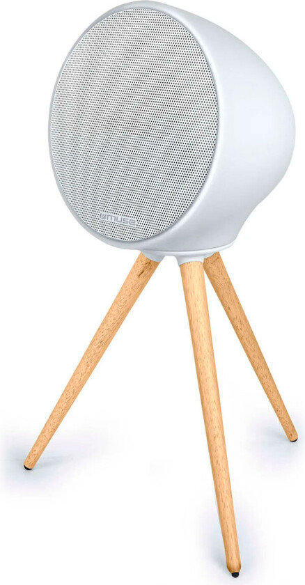 ML-655 BT - speaker - for portable use - wireless