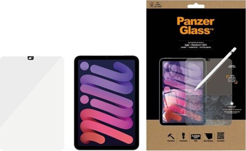 iPad mini 8.3'' (2021) Camslider | Screen Protector Glass