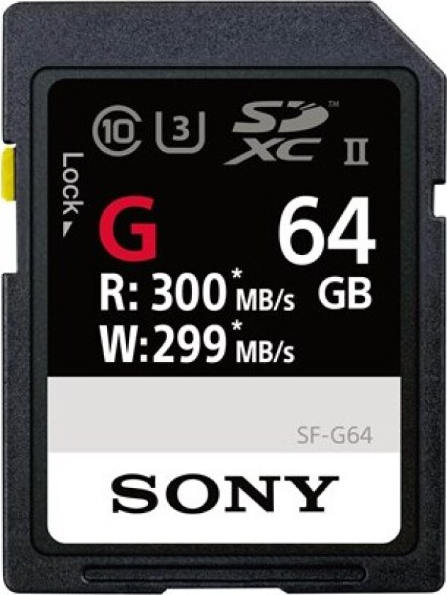 SF-G Series SF-G64 64GB