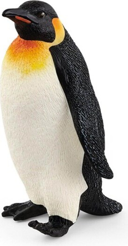 Emperor Penguin