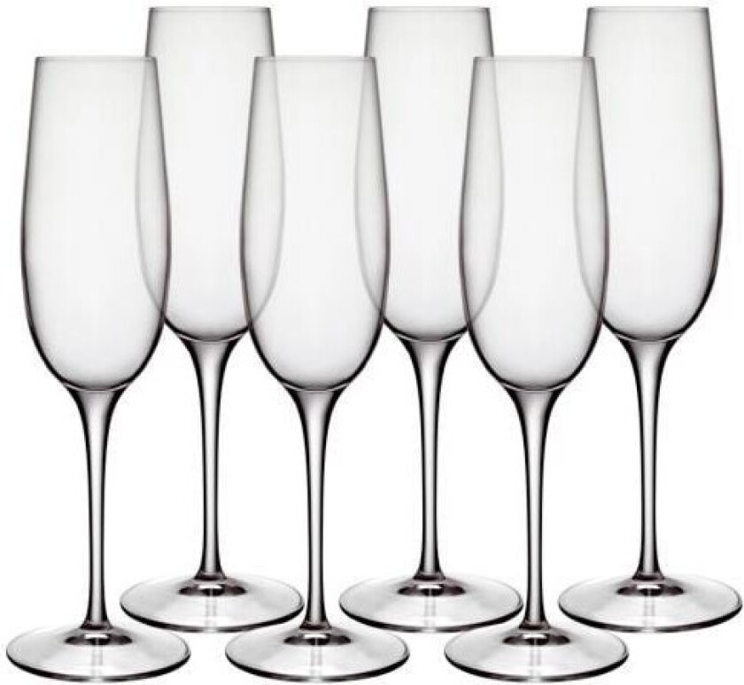 Palace champagne glass - 23.5 cl 6 pcs