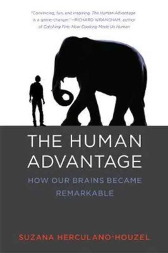 The Human Advantage av Suzana (Associate Professor Vanderbilt University) Herculano-Houzel