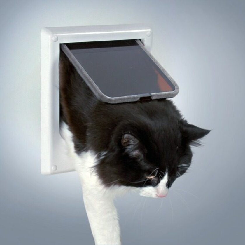 4-Way cat flap electromagnetic 21.1 × 24.4 cm white