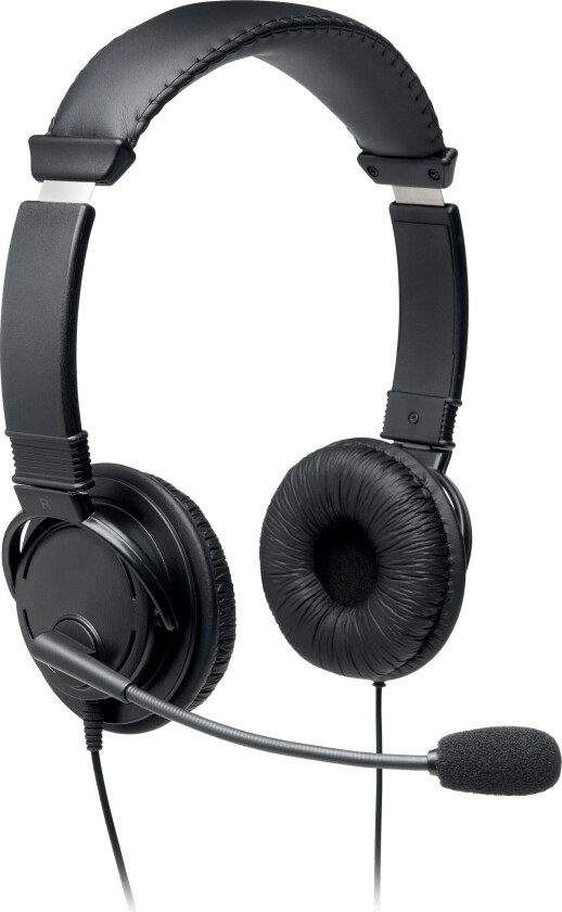 USB Hi-Fi Headphones with Mic