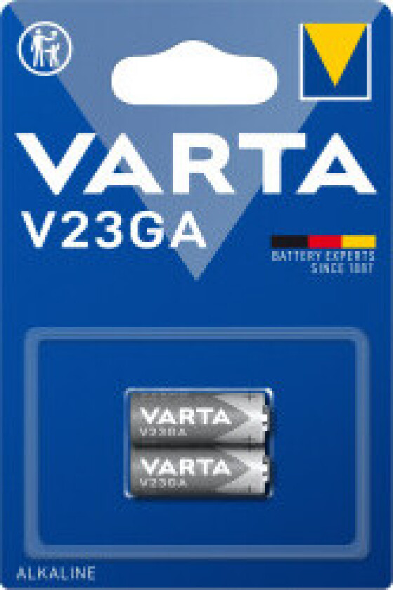 Professional V 8 GS