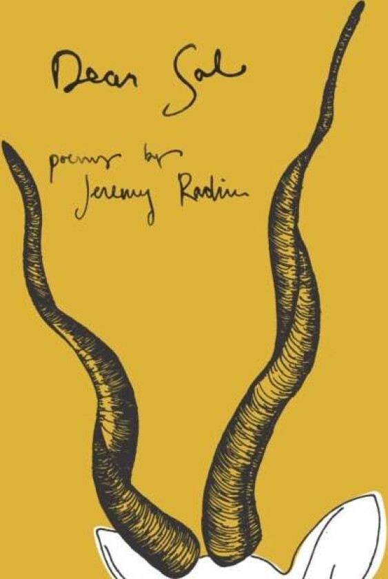 Dear Sal av Jeremy Radin