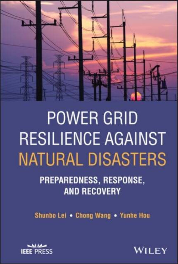 Power Grid Resilience against Natural Disasters av Shunbo Lei, Chong Wang, Yunhe Hou