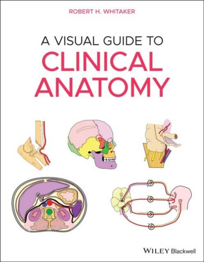 A Visual Guide to Clinical Anatomy av Robert Whitaker