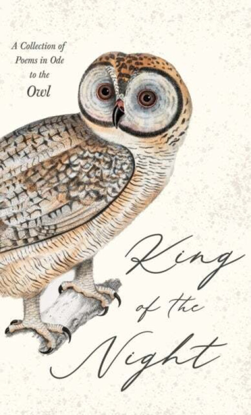 King of the Night - A Collection of Poems in Ode to the Owl av Various