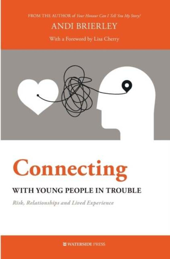 Connecting with Young People in Trouble av Andi Brierley