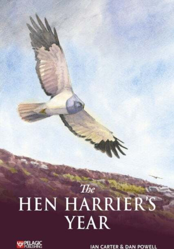 The Hen Harrier's Year av Ian Carter