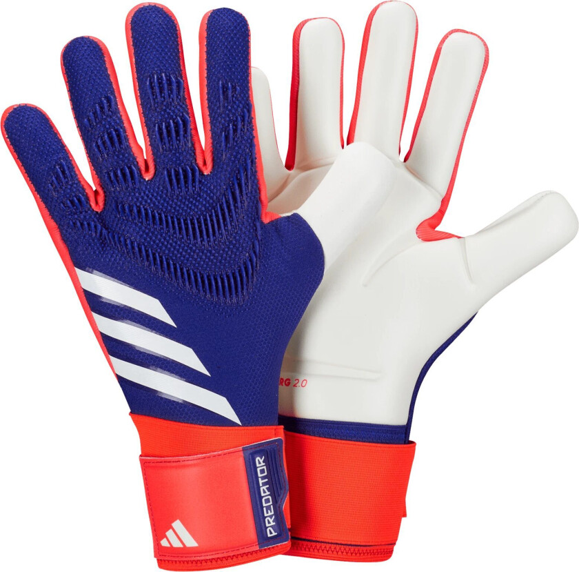 adidas Predator Glove Competition, keeperhansker, unisex Lucblu/Solred/White