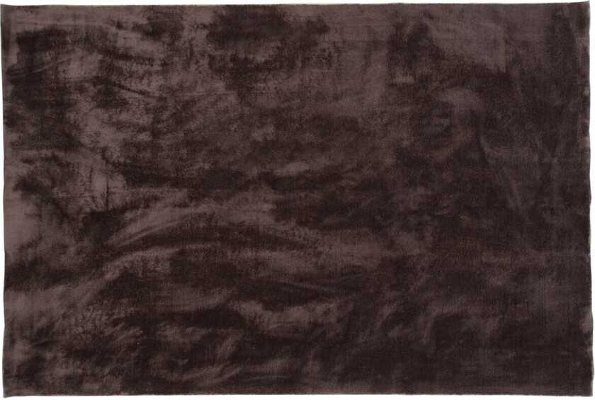 Blanca teppe 300x200 cm polyester brun.