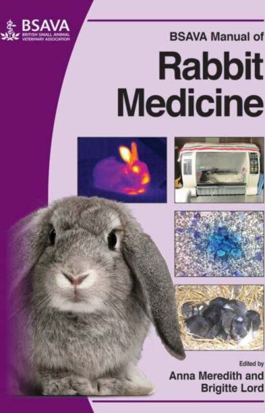 BSAVA Manual of Rabbit Medicine av A Meredith