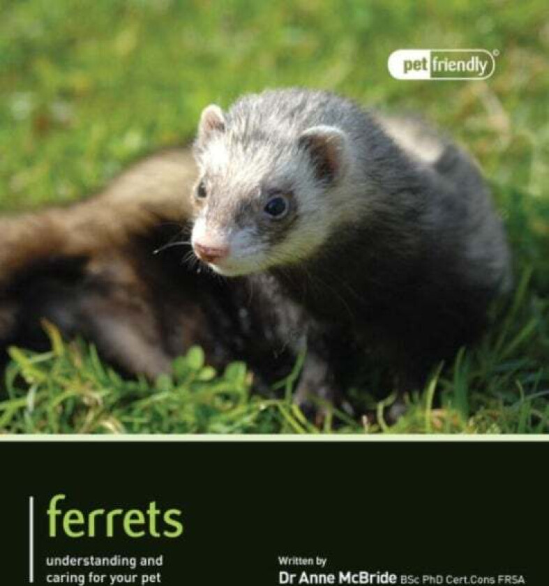 Ferrets - Pet Friendly av Anne McBride