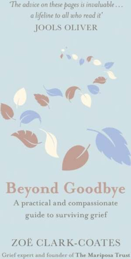 Beyond Goodbye av Zoe Clark-Coates