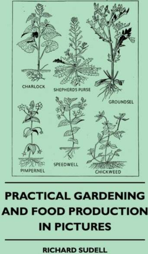 Practical Gardening And Food Production In Pictures av Richard Sudell