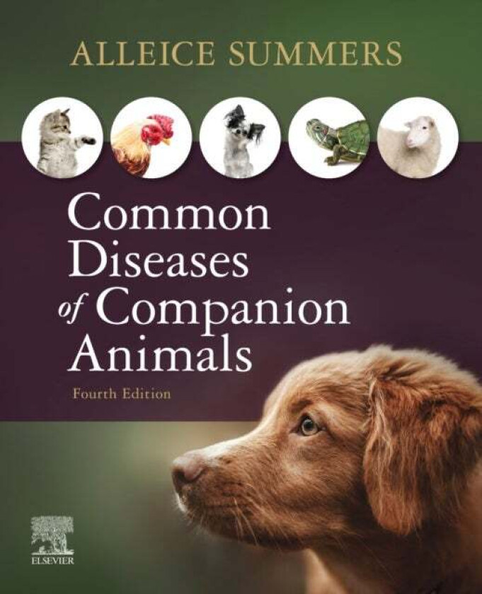 Common Diseases of Companion Animals av Alleice (Cedar Valley College Veterinary Technology Lancaster TX) Summers