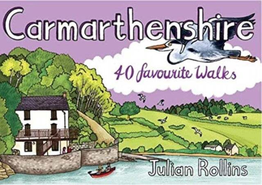 Carmarthenshire av Julian Rollins
