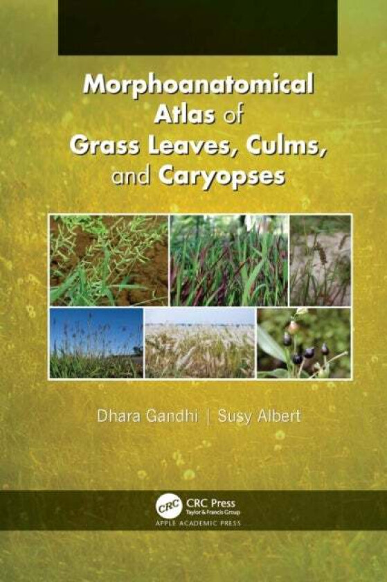 Morphoanatomical Atlas of Grass Leaves, Culms, and Caryopses av Dhara Gandhi, Susy Albert