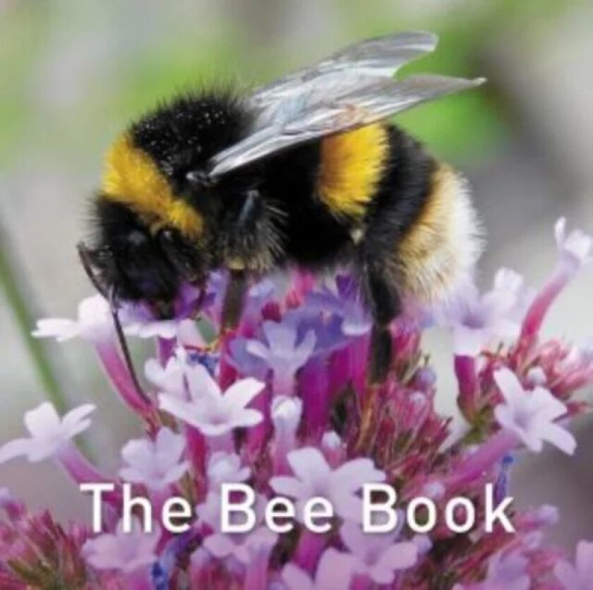The Bee Book av Jo Byrne
