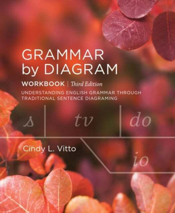 Grammar by Diagram: Workbook av Cindy L. Vitto